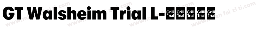 GT Walsheim Trial L字体转换